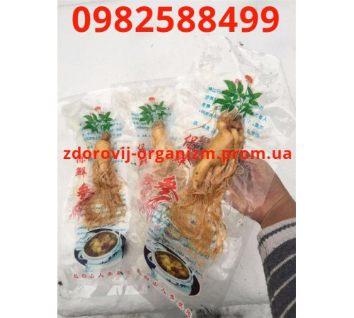 Корінь женьшеню цілісний справжній 50 грамів