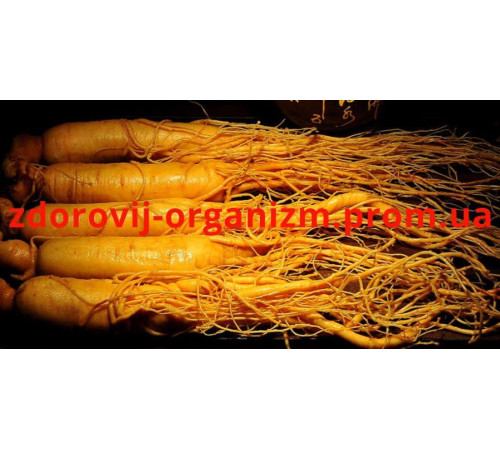 Корінь женьшеню цілісний справжній 50 грамів