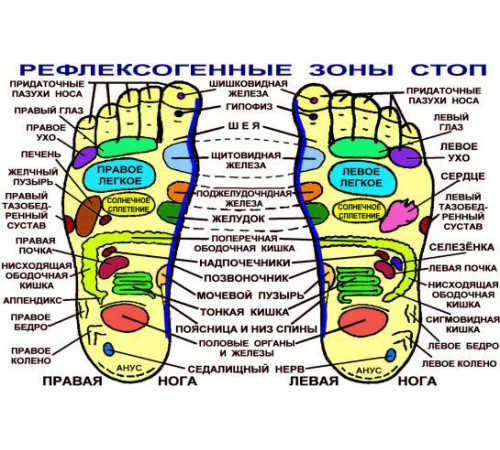 Пластирі "Сокрововини дерев" — Кінотакара 20 штук