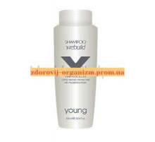 Шампунь Y-rebuild для відновлення волосся з олією Макадамії 300 мл