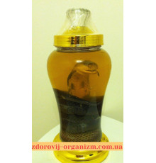 Терапевтична настоянка на Великому кобрі Подарункова 3 літри (В'єтнам)