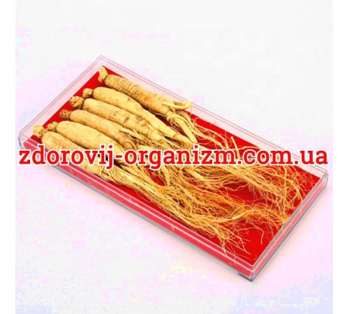 Сухий корінь женьшеню 10 років справжній Китай набір 90 грамів