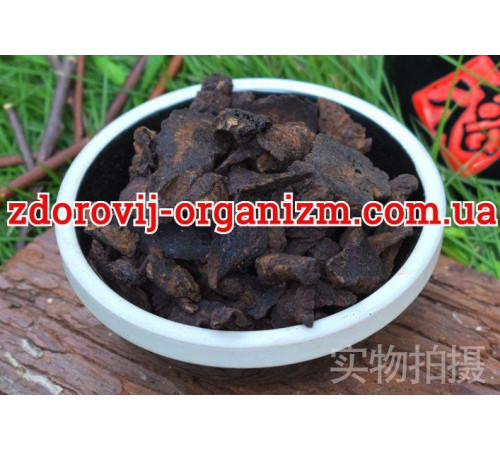 Корінь Ремені Rehmannia (слайси) 500 грамів