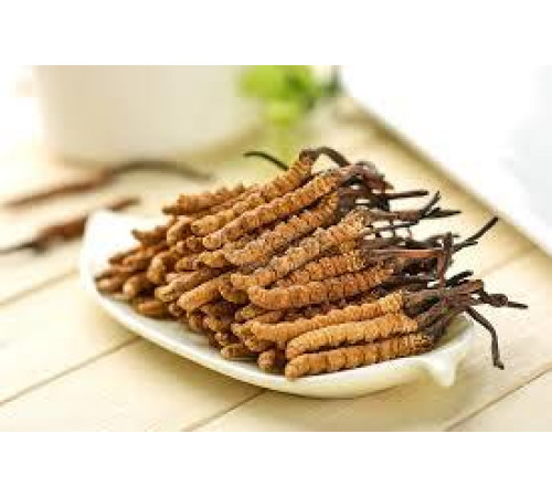Кордіцепс королівський Cordyceps 100 шт