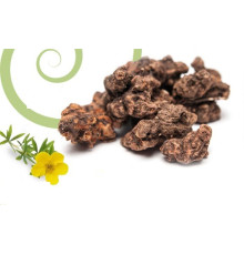 Корінь Калгана