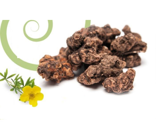 Корінь Калгана