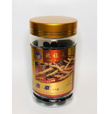Кордіцепс королівський Cordyceps 100 шт