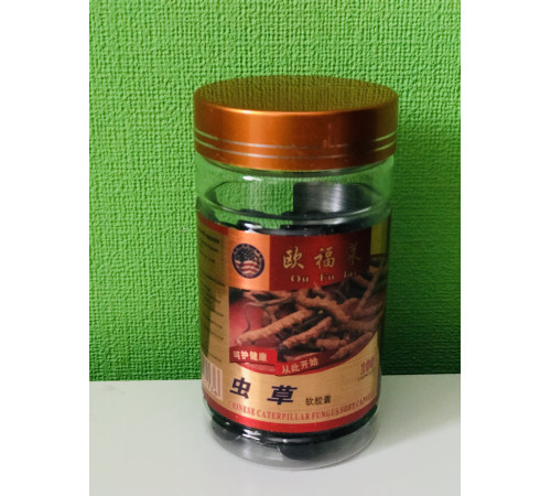 Кордіцепс міцелій