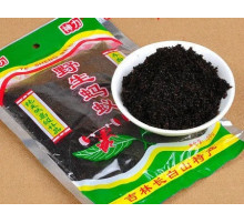 Ревматоїдні дикі чорні мурахи