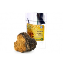 Гриб чага з порією кокосової