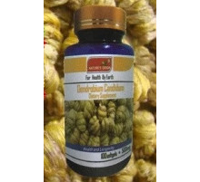 Дендробіум у капсулах Вековий Схід