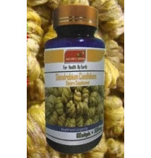 Дендробіум у капсулах Вековий Схід