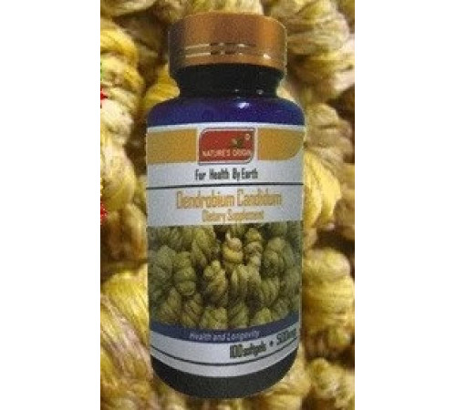 Дендробіум у капсулах Вековий Схід