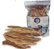 Гриб рейші  (Ganoderma lucidum, ганодерму, лінчжі, струтовик лакований)