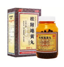 Пилюлі Гуй Фу Ді Хуан Вань Gui Fu Di Huang Wan" 480шт Вековий Схід