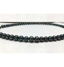 Намисто Перли Чорне Червоне Моря Єгипетський Схід морський