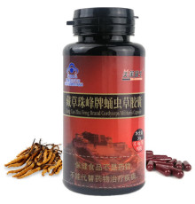 Кордицепс нирковий імуномодулятор