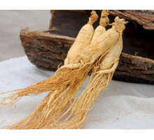 Сухий корінь женьшеню справжній Китай набір 55 грамів