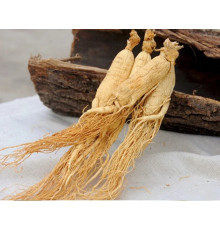 Сухий корінь женьшеню справжній Китай набір 55 грамів