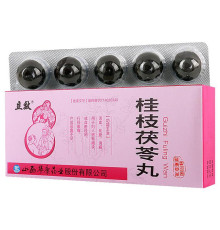 Гуйчжі Фулін Вань GuiZhi Fuling Wan пилюлі для терапії гінекологічних недуг широкого спектра