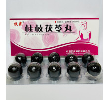 Пилюлі "Gui Zhi Fu Ling Wan" Гуйчжі Фулін для терапії широкого спектра гінекологічних недуг