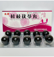 Пилюлі "Gui Zhi Fu Ling Wan" Гуйчжі Фулін для терапії широкого спектра гінекологічних недуг