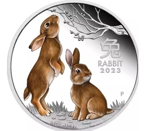 Срібна монета два кролики Неймовірна удача для всіх 2023 року