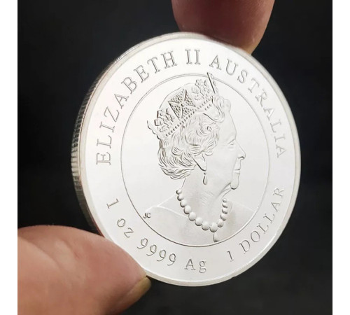 Срібна монета два кролики Неймовірна удача для всіх 2023 року