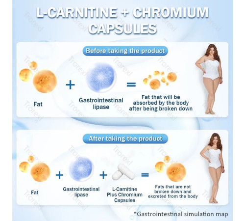 Запалювальна Бомба Жира Гарцинія Камбоджійська спалювання жир і целюліту