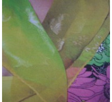 Турмалінова косинка Вековий Схід