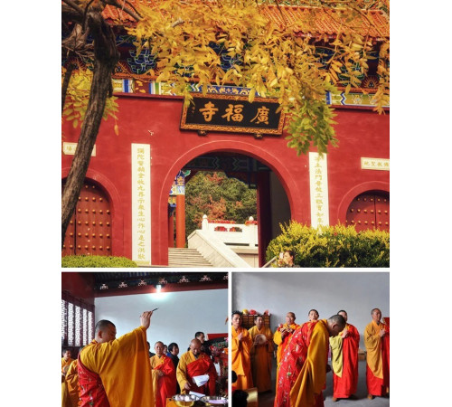 Брелок Грошова Собака для багатства та процвітання