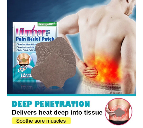 Ортопедичний пластир для хребта з турмаліном Pain Relief Plaster 12 штук
