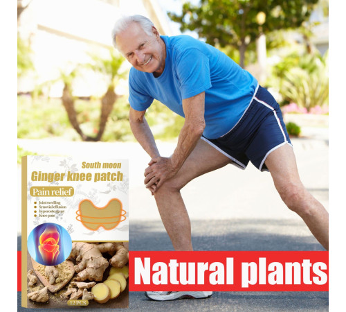 Ортопедичний турмаліновий пластир, що зігріває знеболювальний з Імбиром 12 штук