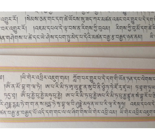 Тибетська Дорогоцінна Сутра Амітаус, Амітабха для Безмежної Мудрості, Довгоріччя, Гарної Карми та Заслуг