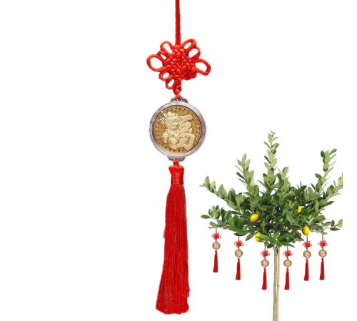 Підвіска монета з драконом символ Фук і містичним вузлом на червоній нитці для удачі та Процвітання
