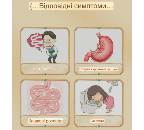 Фу Цзи Лі Чжун Вань 附子理中丸 Fu Zi Li Zhong Wan проти виразки, коліт, гастроентероколіт 200 штук