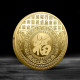 Золота монета Сакральна Вогняна Змія для Жела, Велика удачі, Здоров'я, Гродег із символом Фук і мантрами