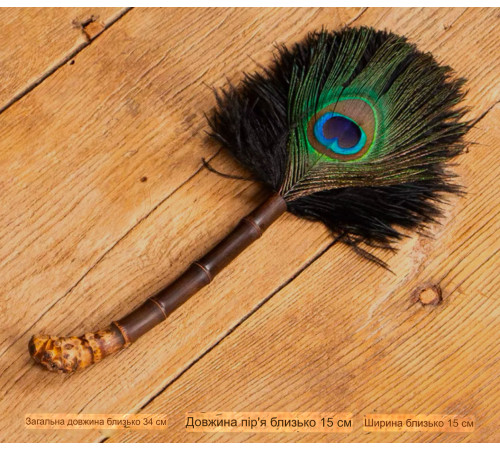 Амулет із павичого пір'я й бамбука Захист багатства від Зірки 7