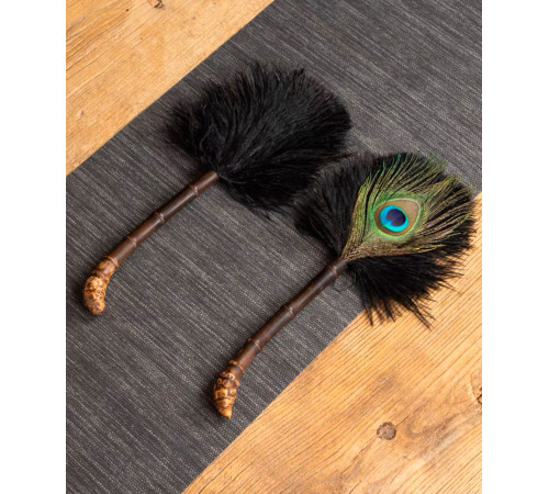 Амулет із павичого пір'я й бамбука Захист багатства від Зірки 7