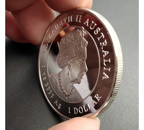 Срібна монета Свиня для активації любові, удачі, грошей