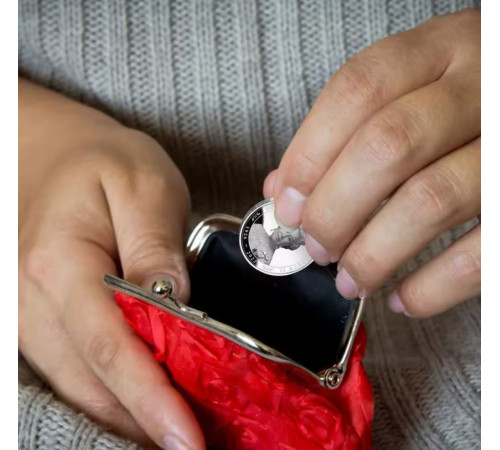 Пам'ятна колекційна срібна монета красивої королеви Єлизавети II